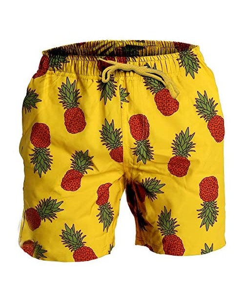 Fort Isle Mens Stretch Swim Trunks - Prints - Quick Dry 4-Way Stretch - Beach Bathing Suits Shorts